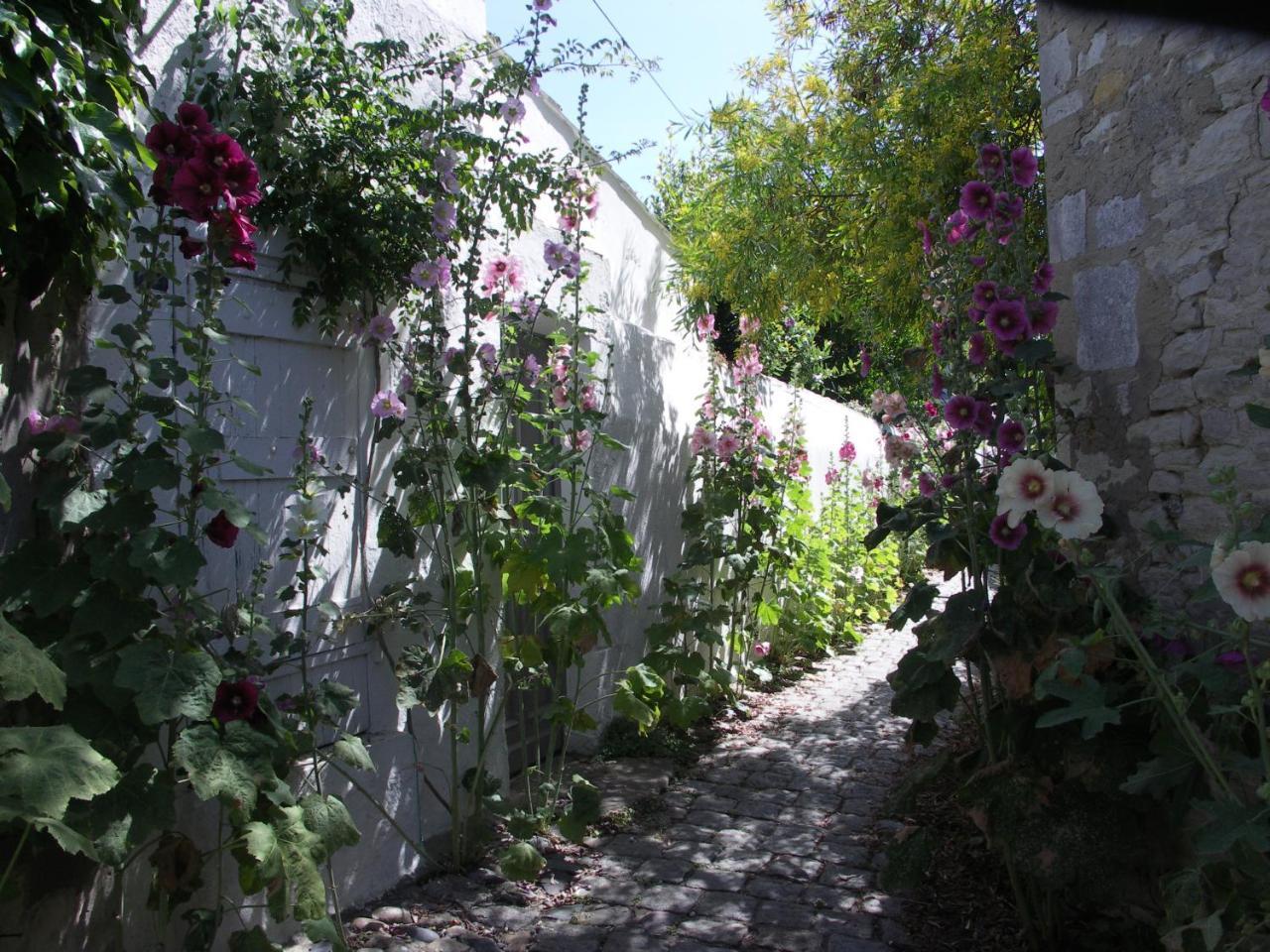 Appartement Silene Saint-Martin-de-Ré Dış mekan fotoğraf